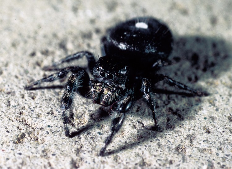 photo of female bold jumper