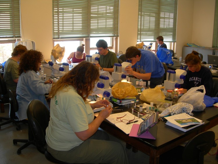 students working in the lab