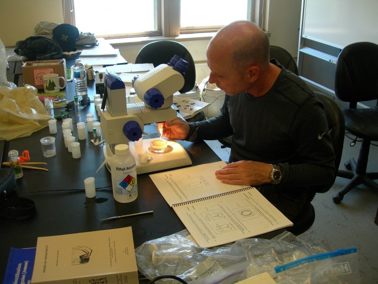 Christopher Klemm working with spider identification key